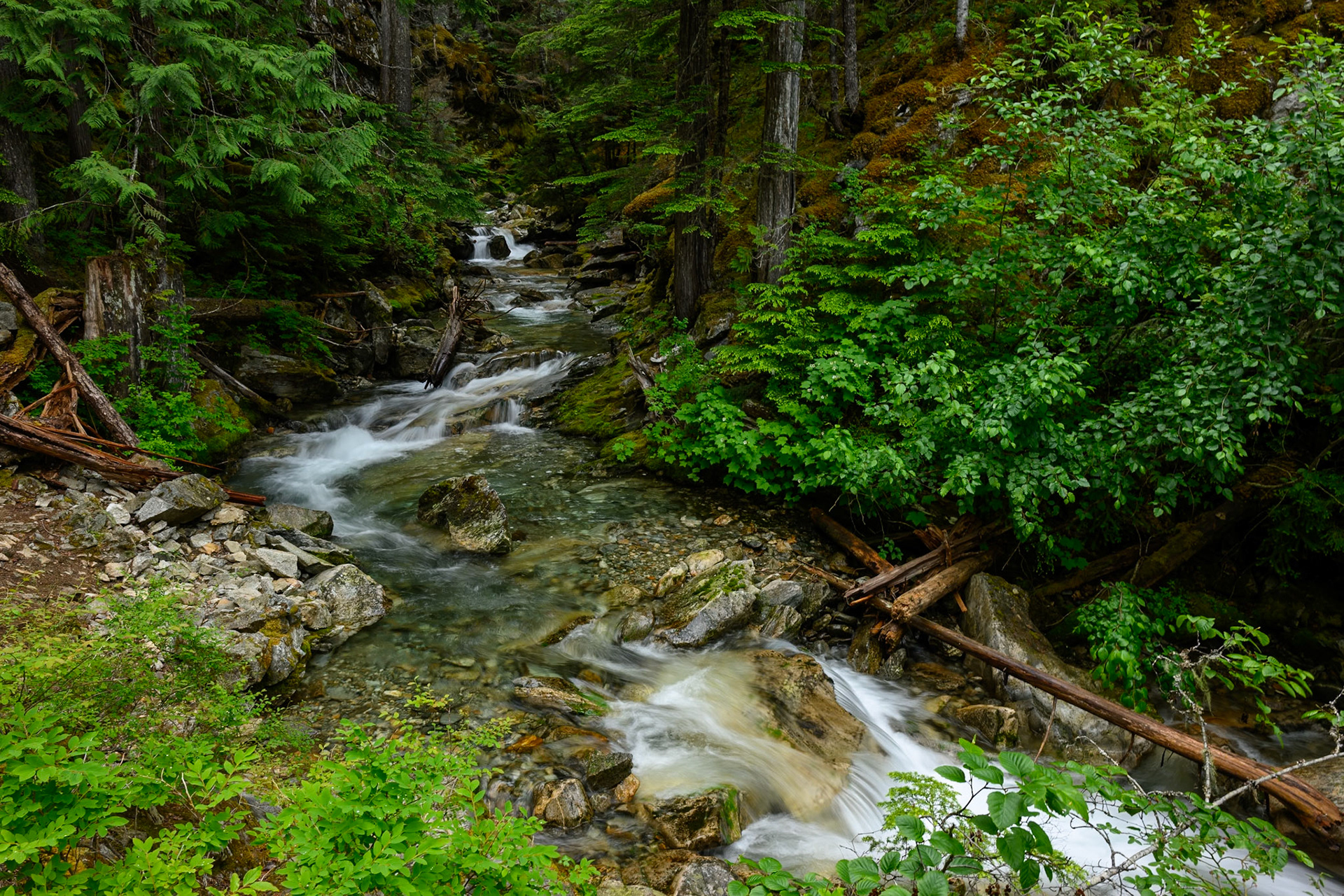 4. North Cascades Creek