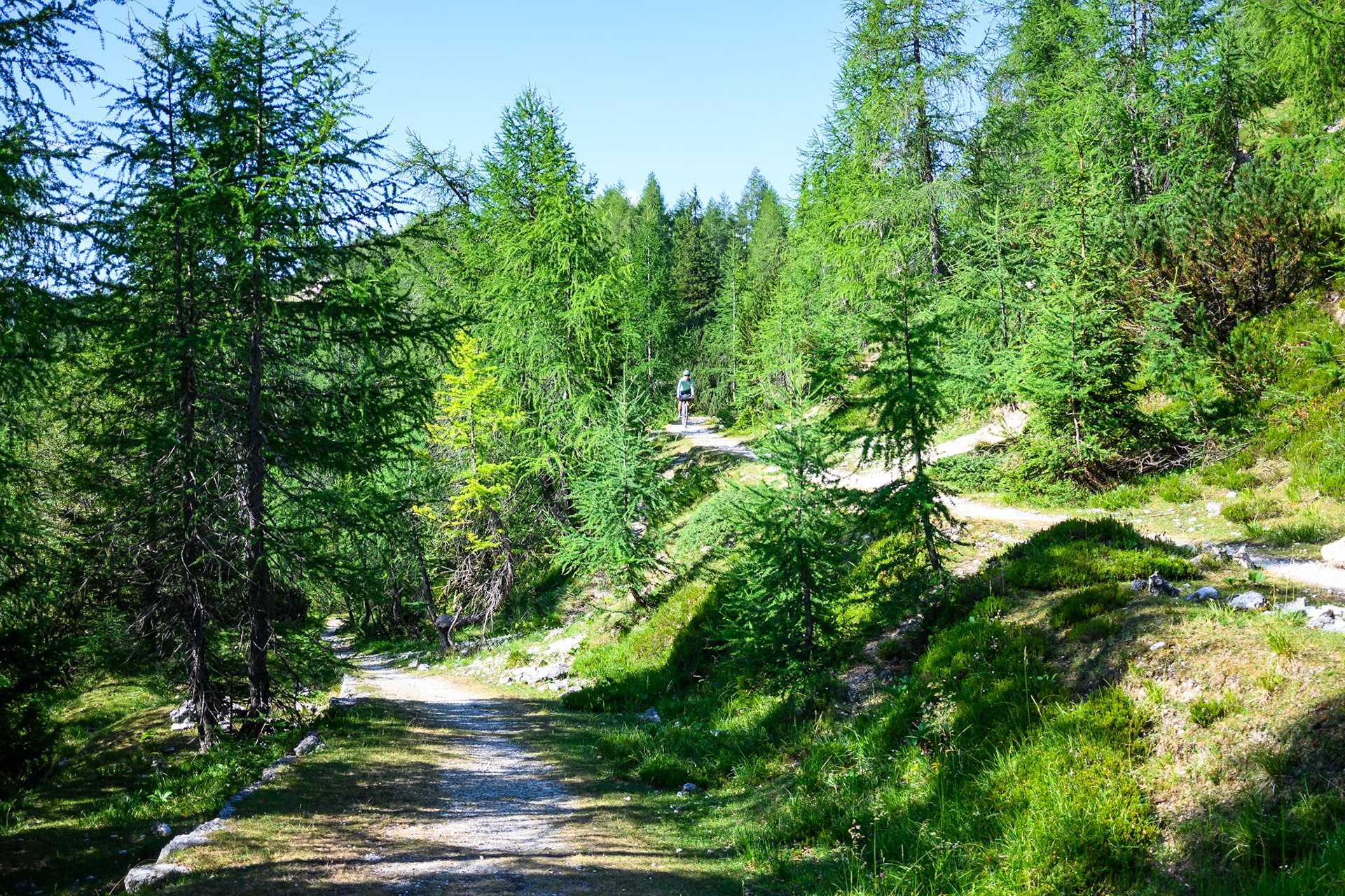 WW1 supply chain road to the Isonzo Front