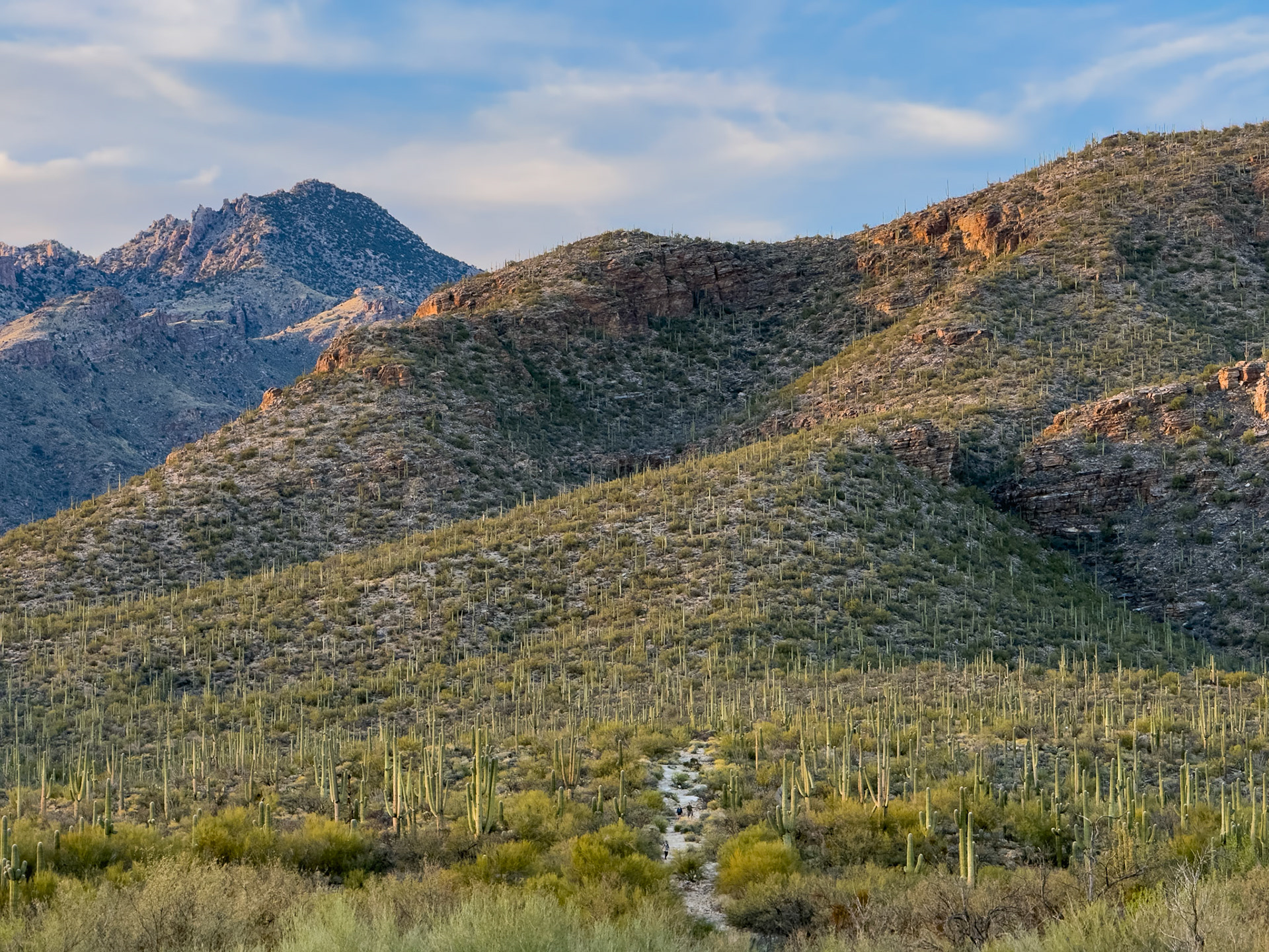 Tucson after a weekend of long distance mountain biking.
