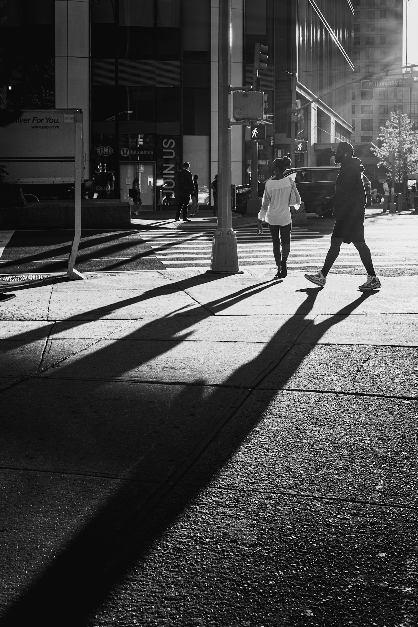 Long Shadow