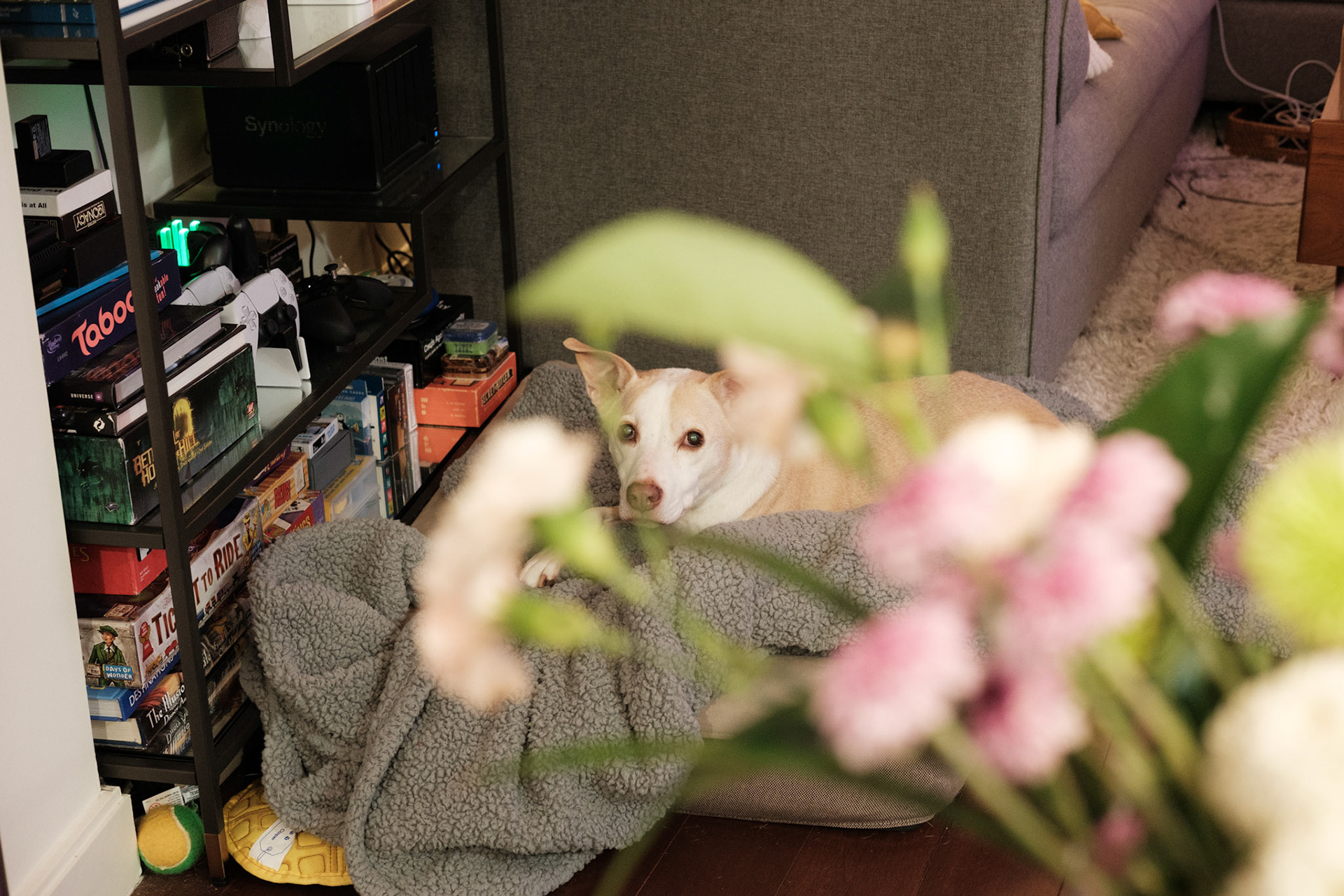 Flower Girl