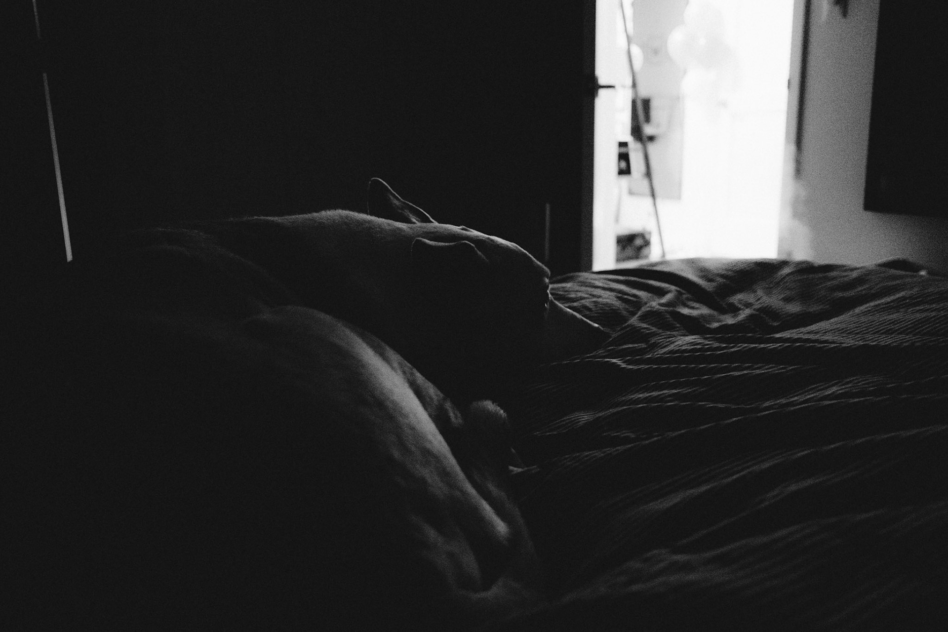 Waiting For Something