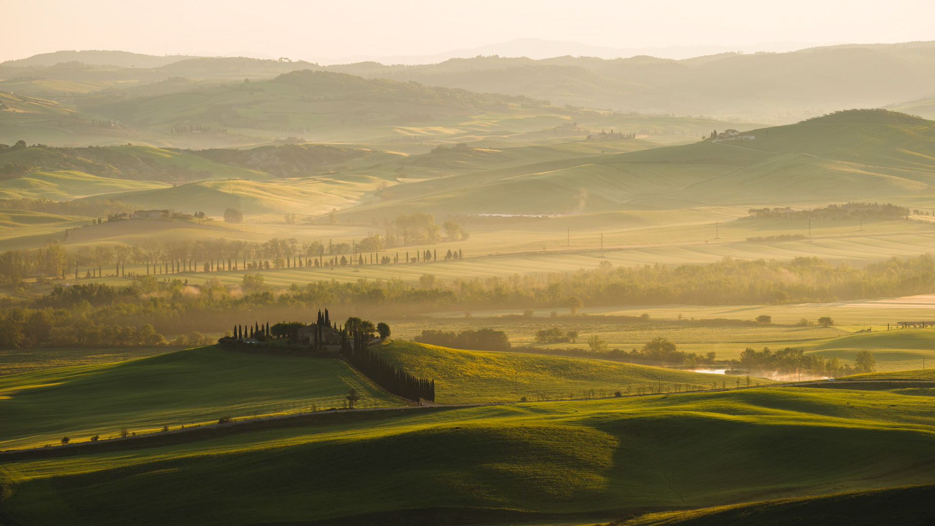 Tuscan Golden Light