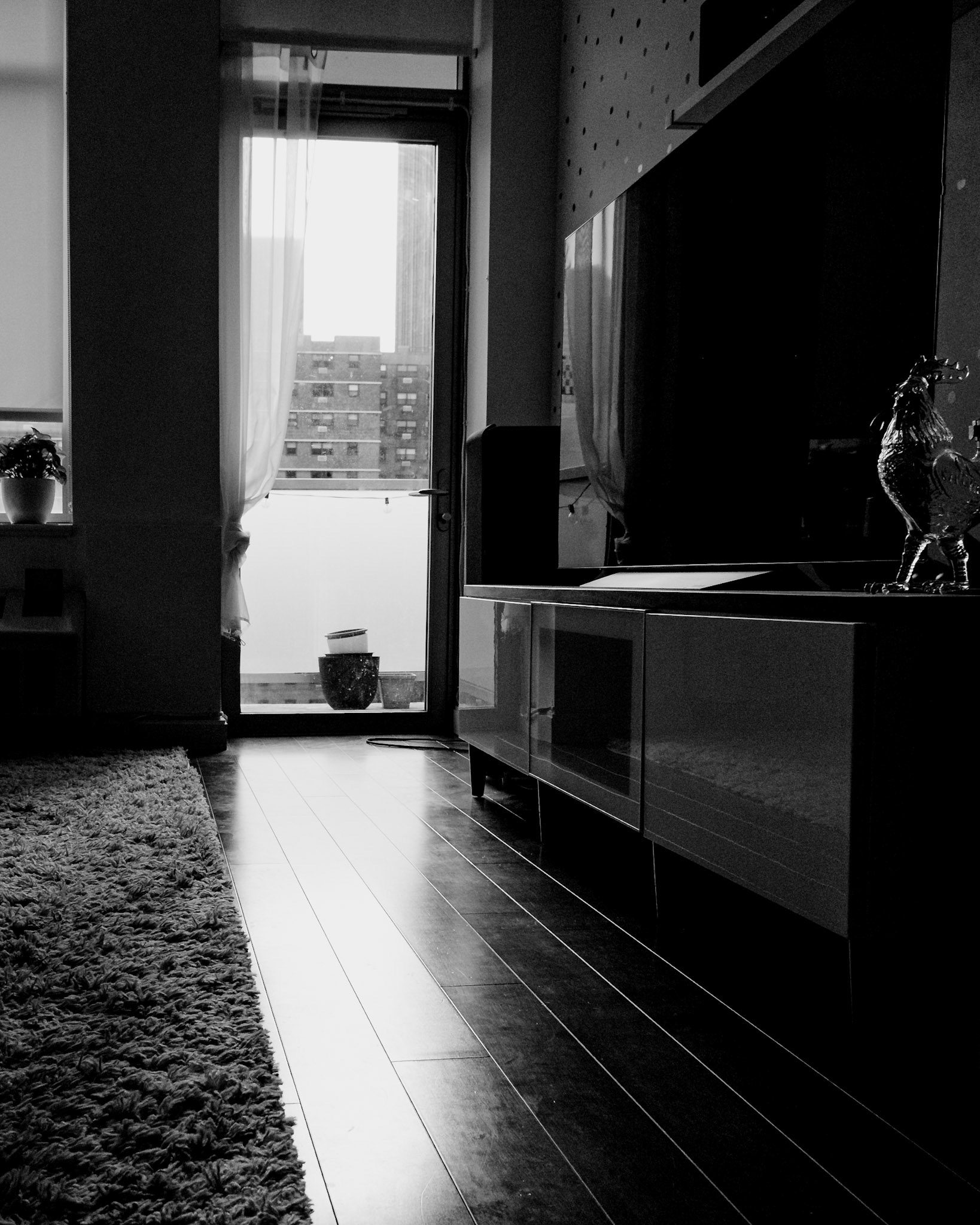 B&W Living Room