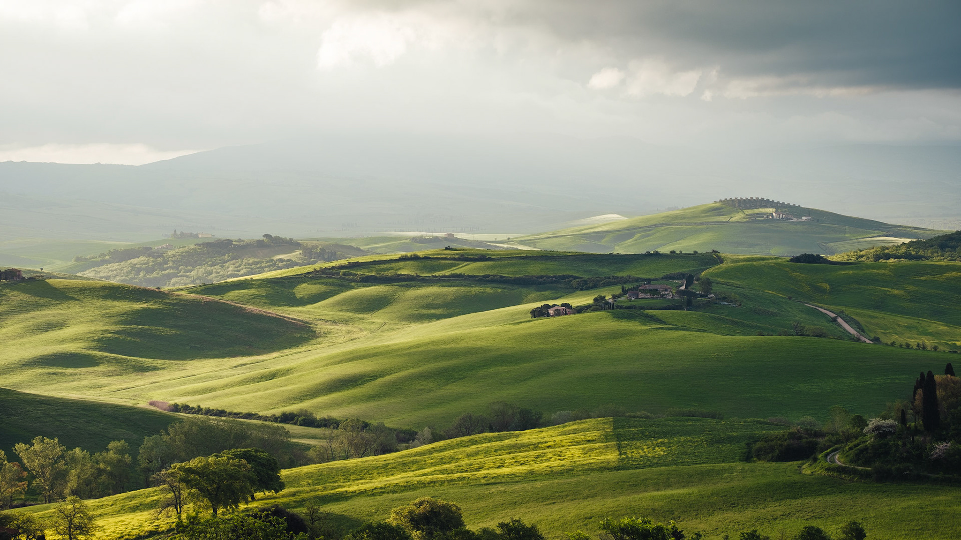 Tuscan Morning