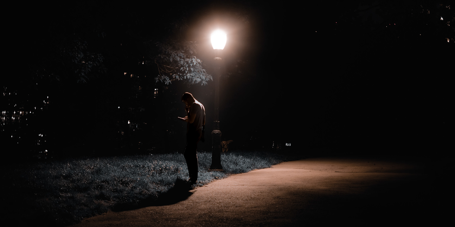 Under the Light Pole