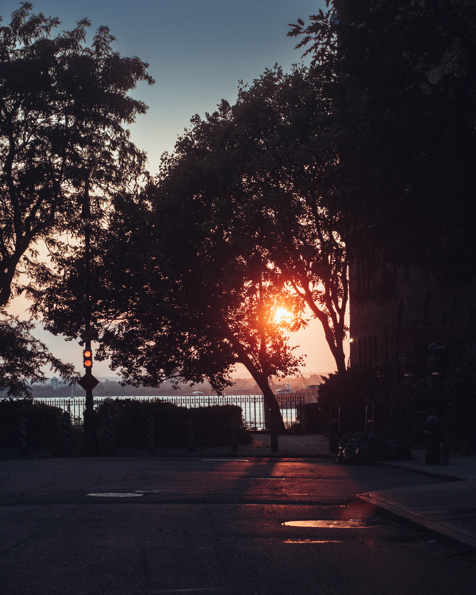 Sunset Through the Trees
