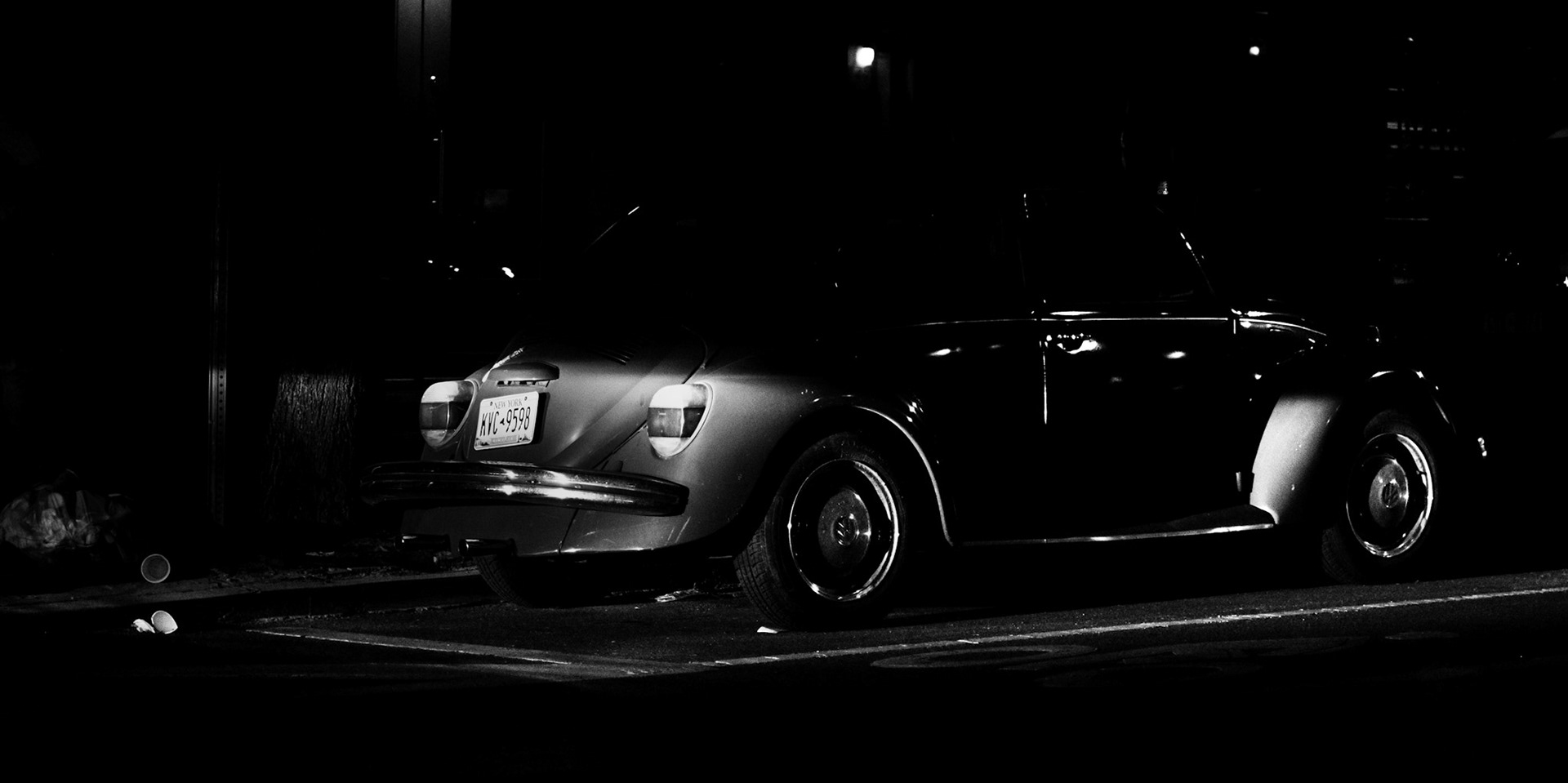Light Bug
