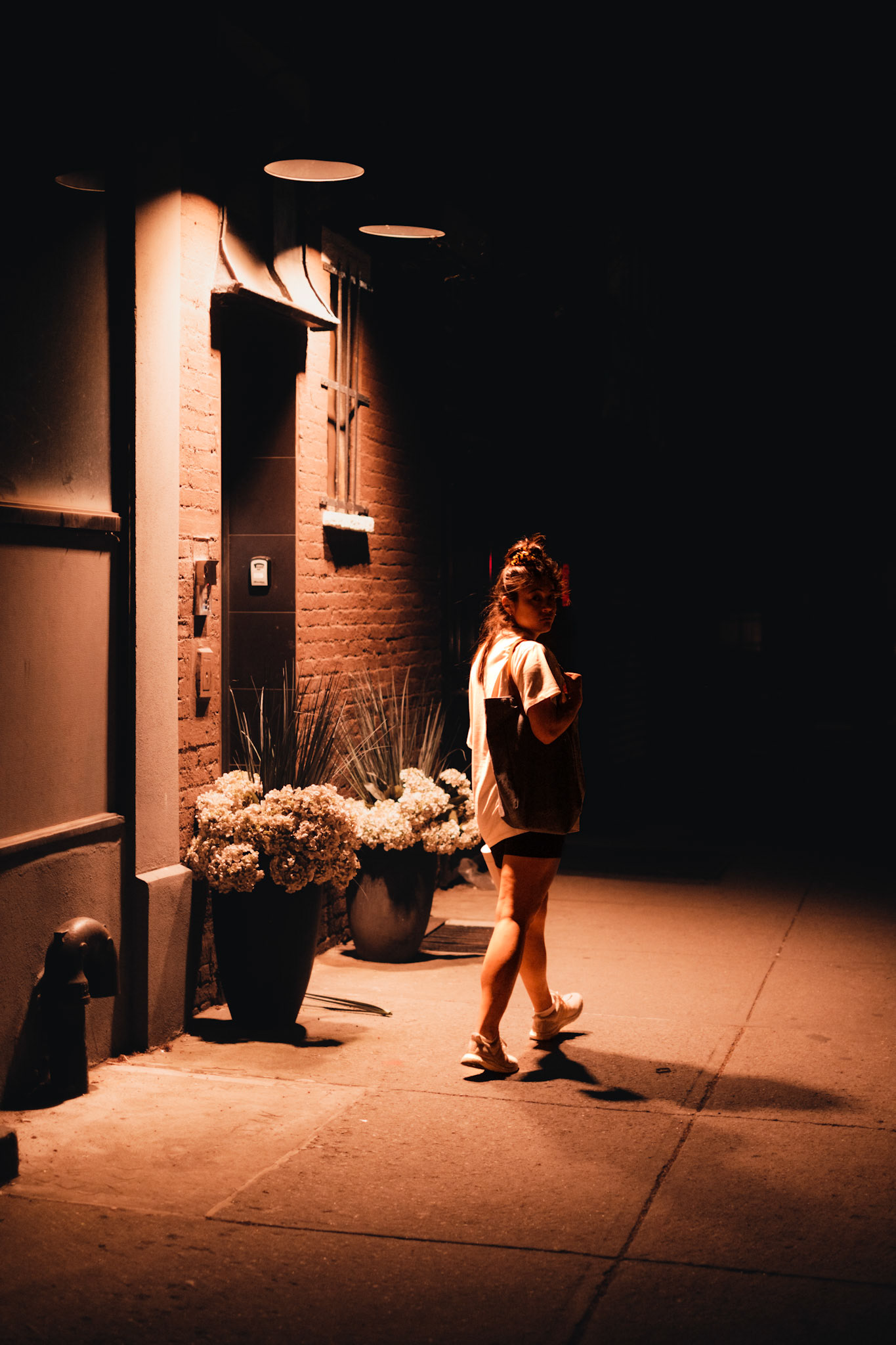 Into the Dark