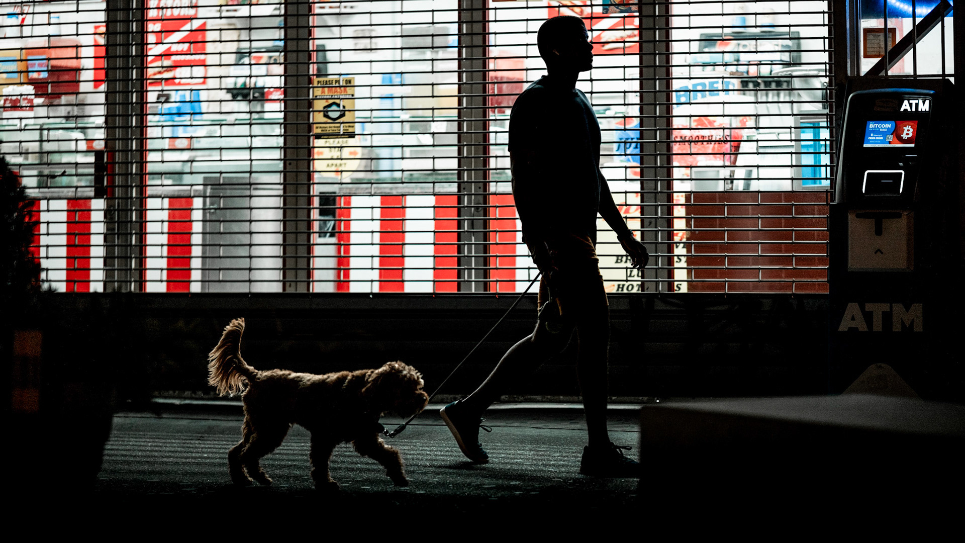 Dog Walk