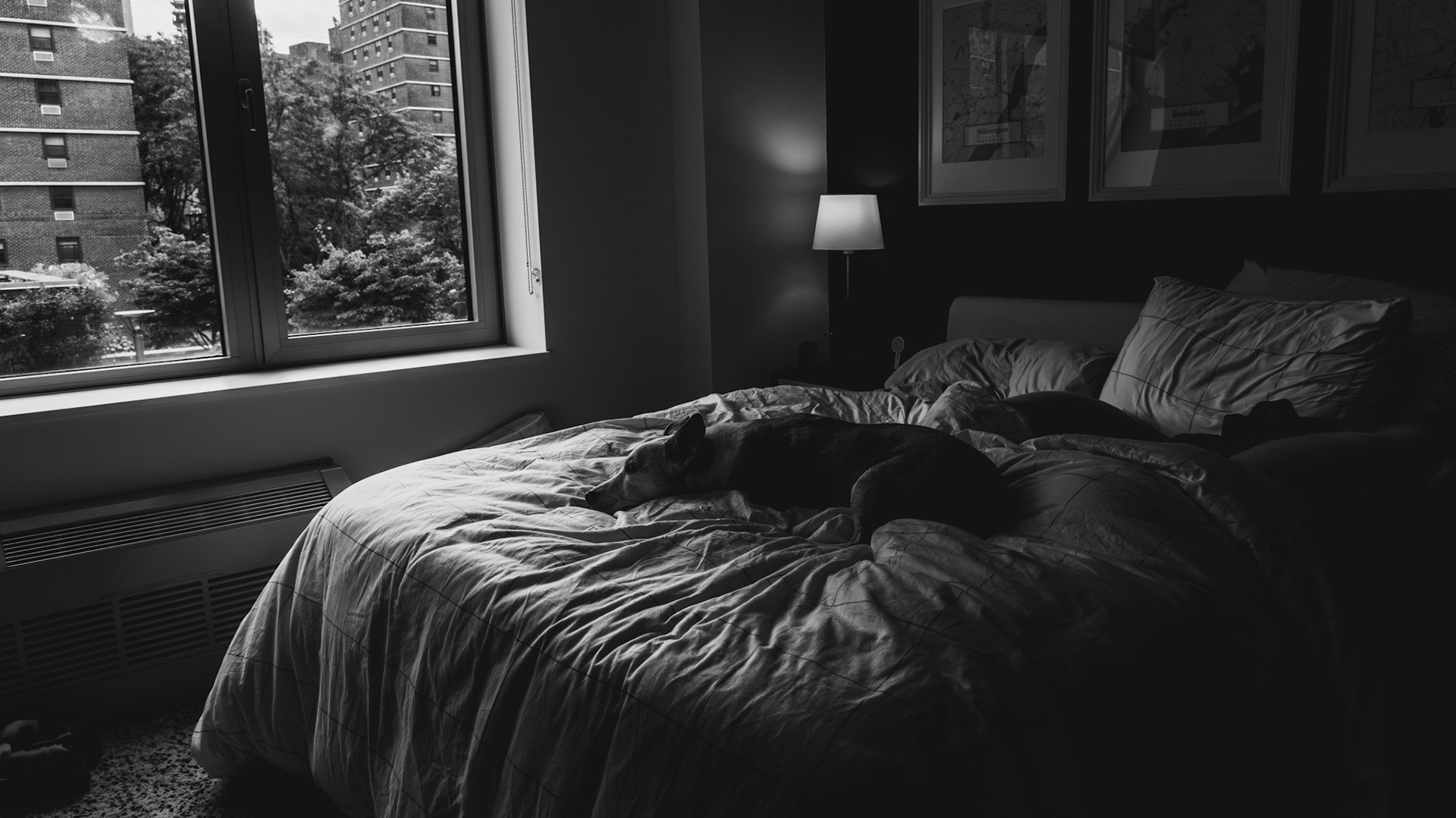 LCD Backlit Silhouette