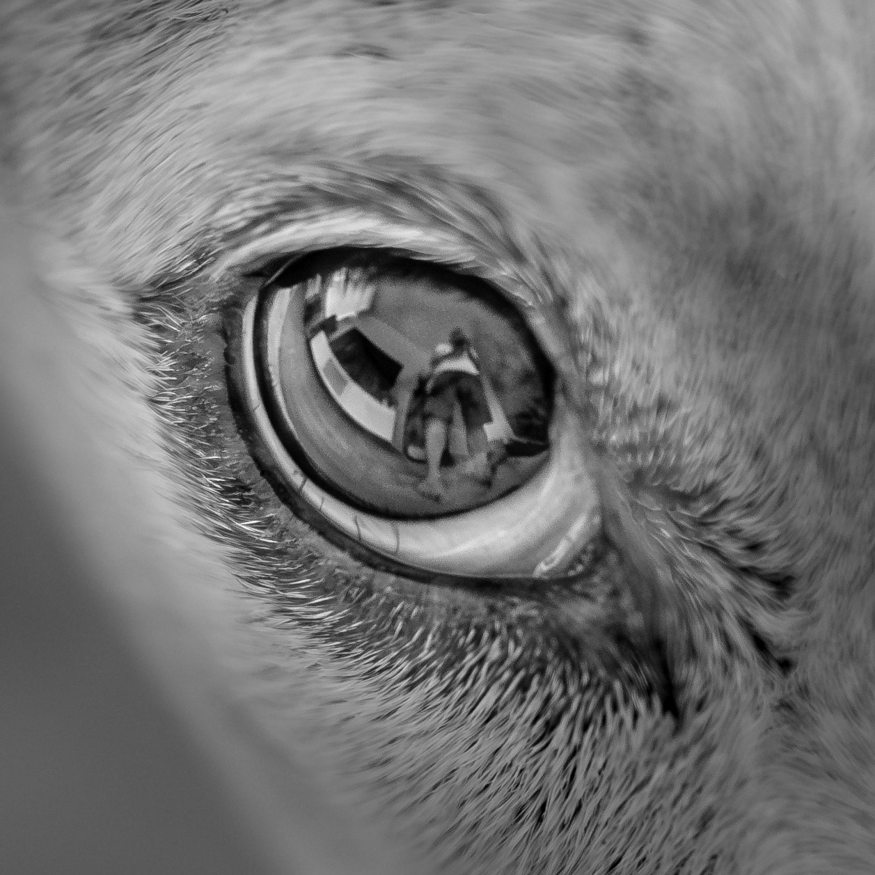 I See Myself in Her Eyes