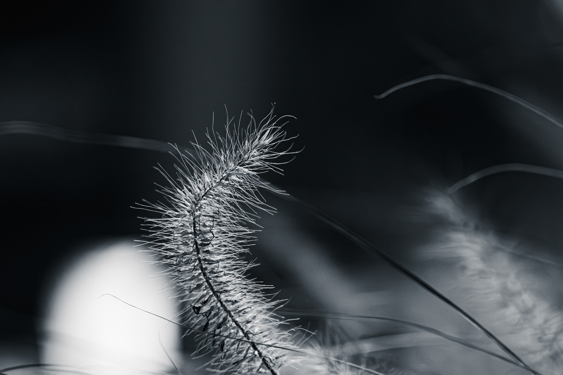 Spindly