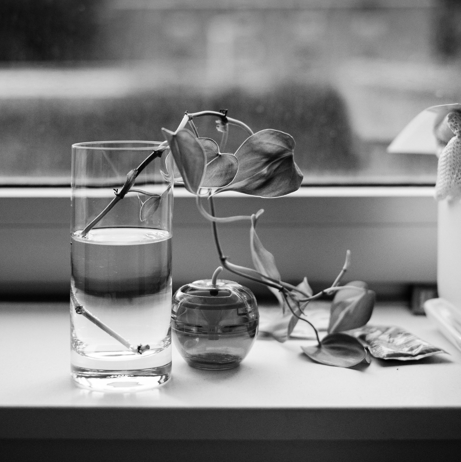 Window Sill
