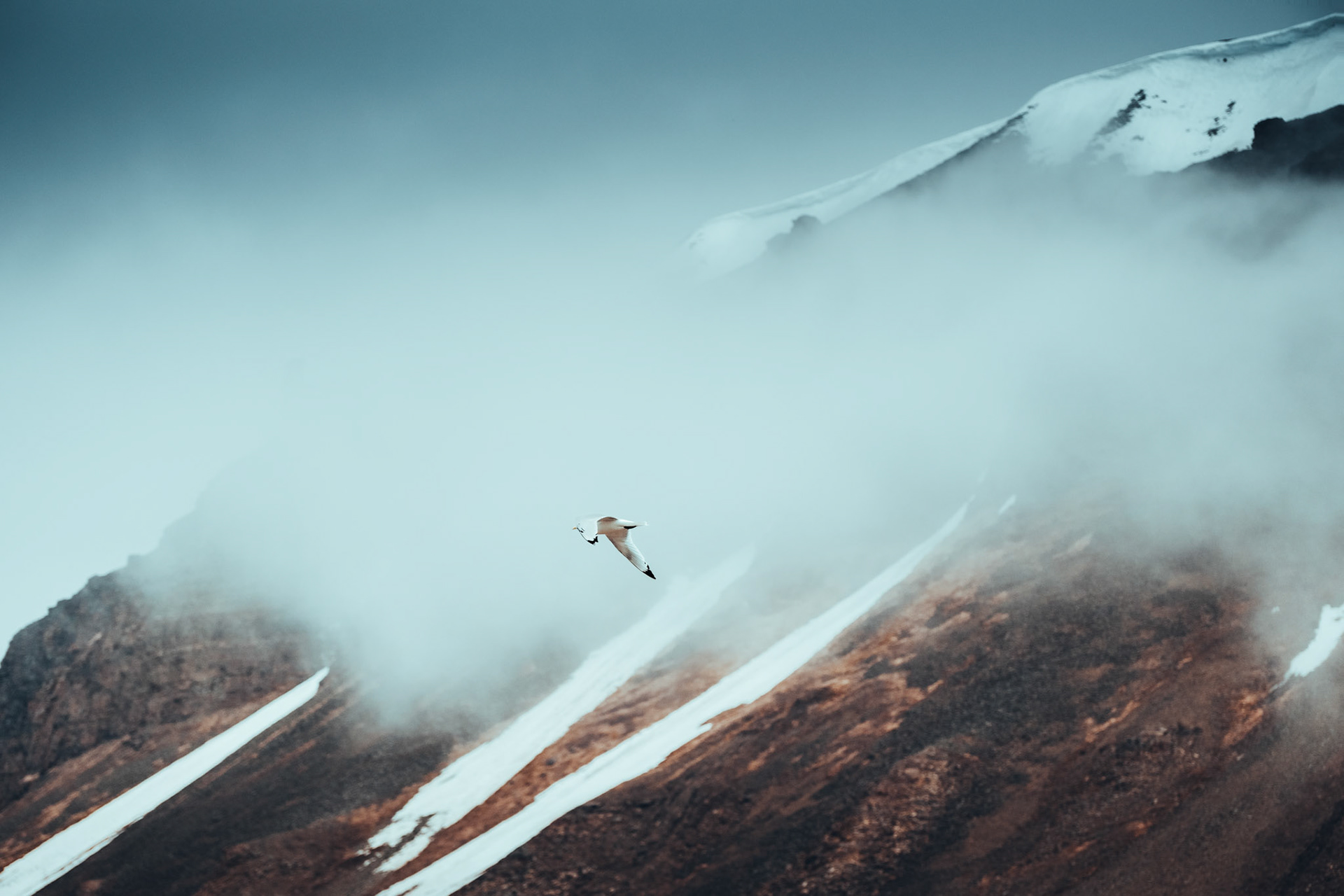 In Flight