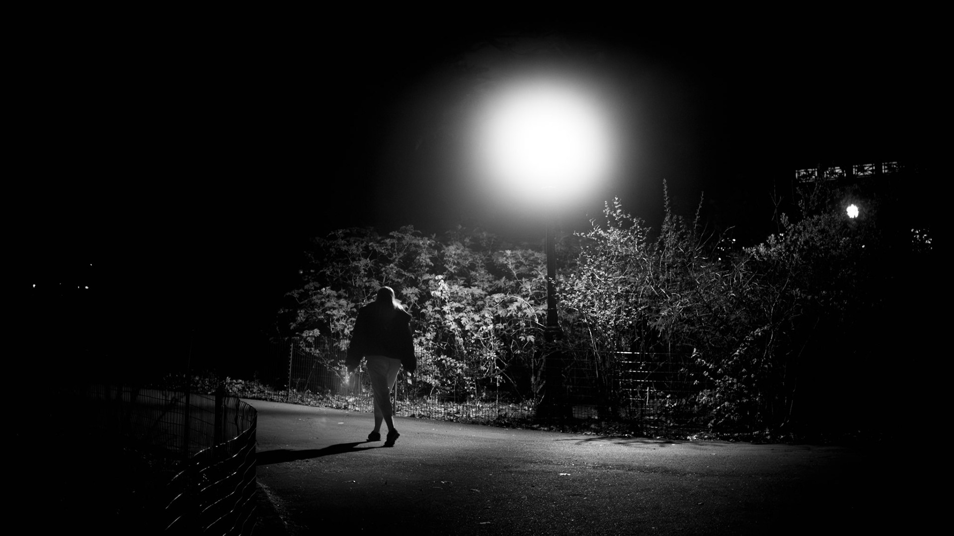 Park Light