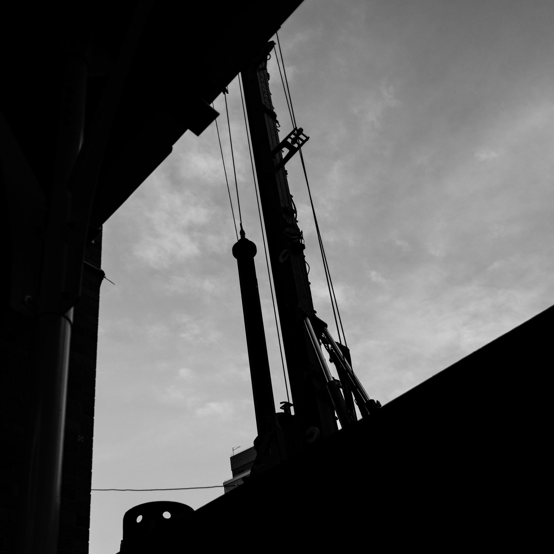 Crane into the Sky