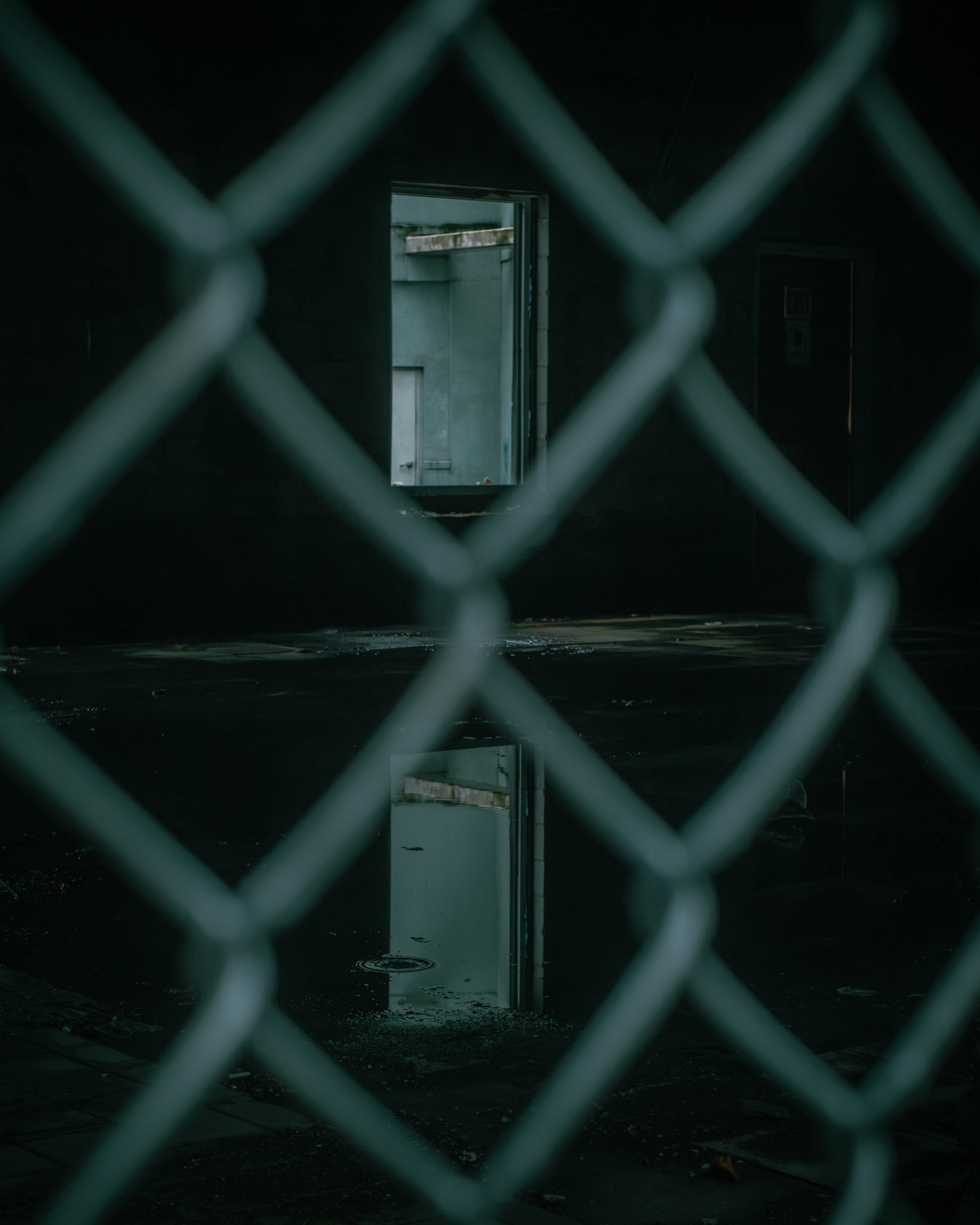 Through The Chain Link Looking Glass