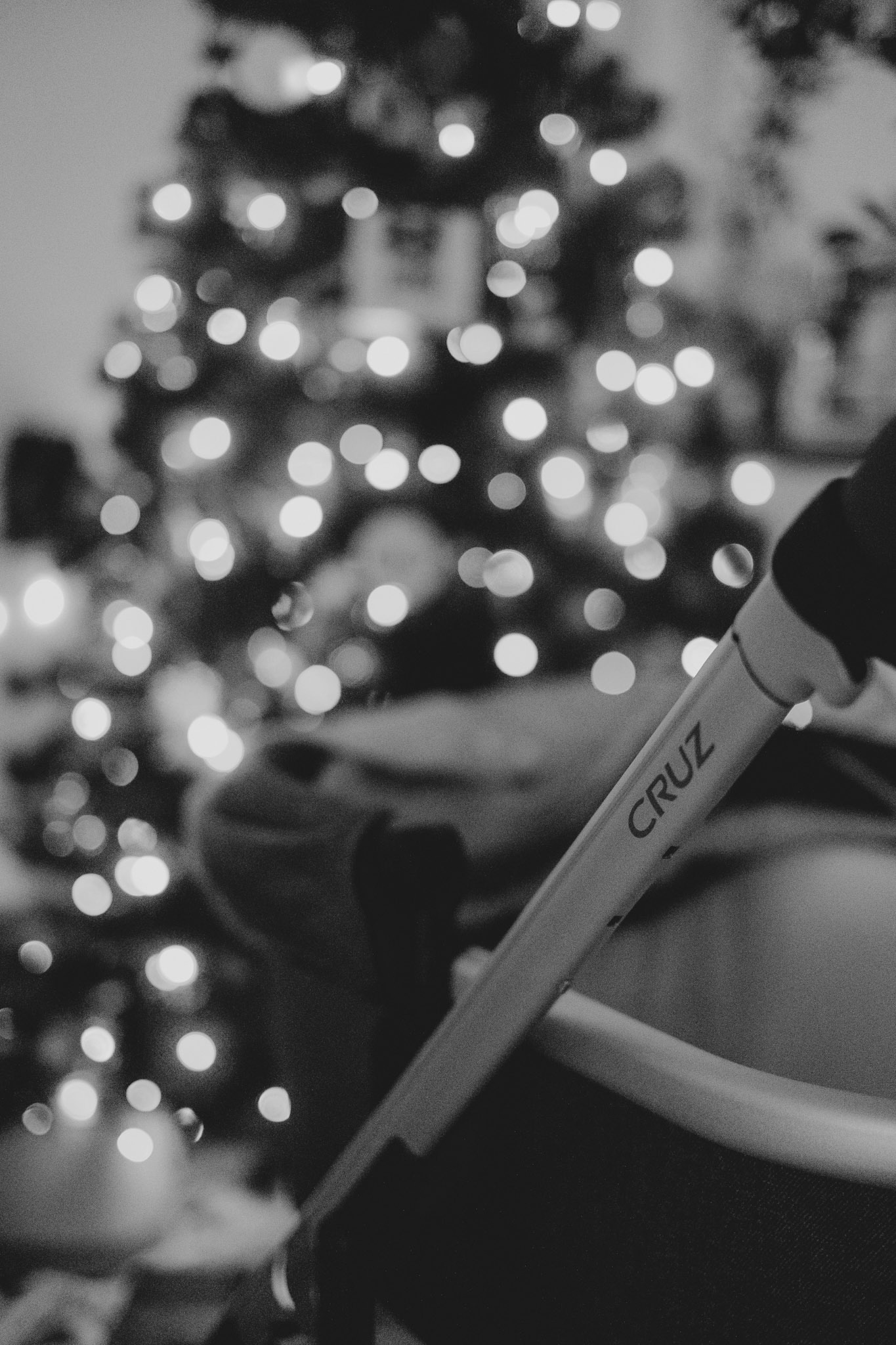 Christmas Cruz'in Stroller