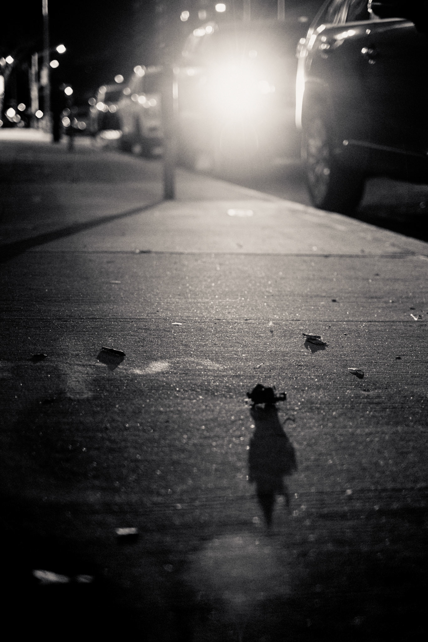 Frigid Sidewalk