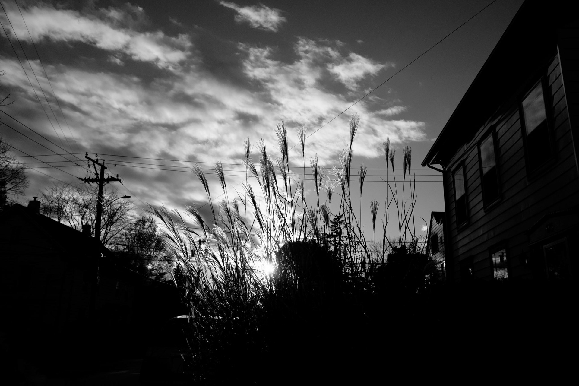 Late Autumn Light