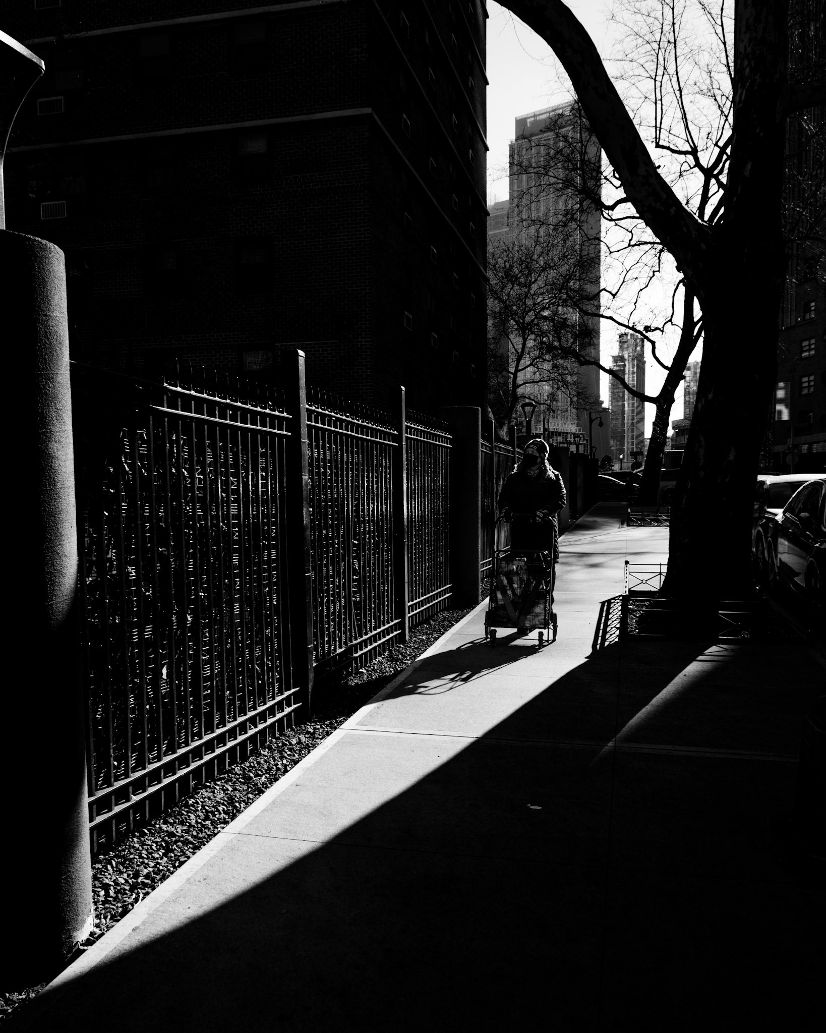 Light and Shadow