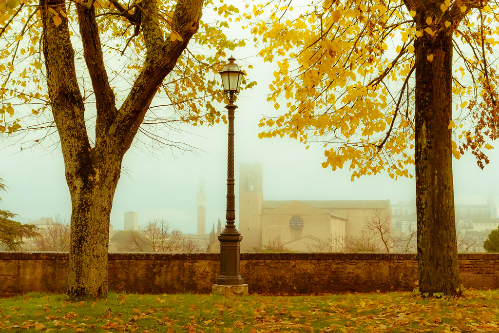 Rainy Siena  2012 (Siena, Italy)