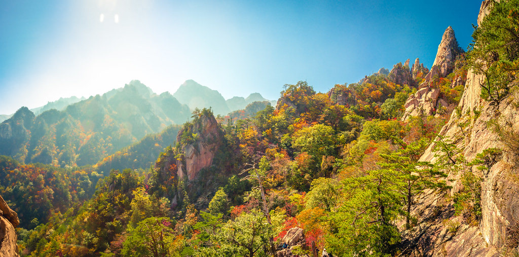 Seoraksan Colors  2020 (near Geumganggul Cave, Seoraksan NP, South Korea)