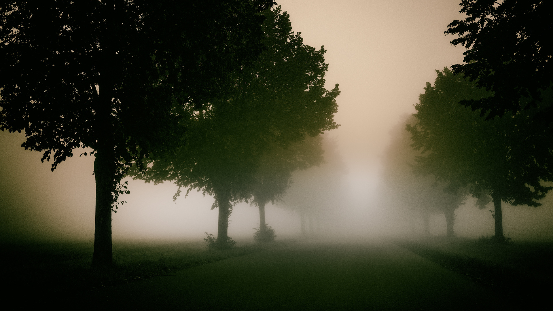 Am Morgen auf dem Weg zur Arbeit - Burgenland