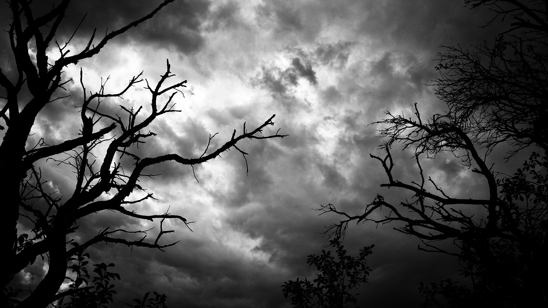 Blick einfach mal nach oben...