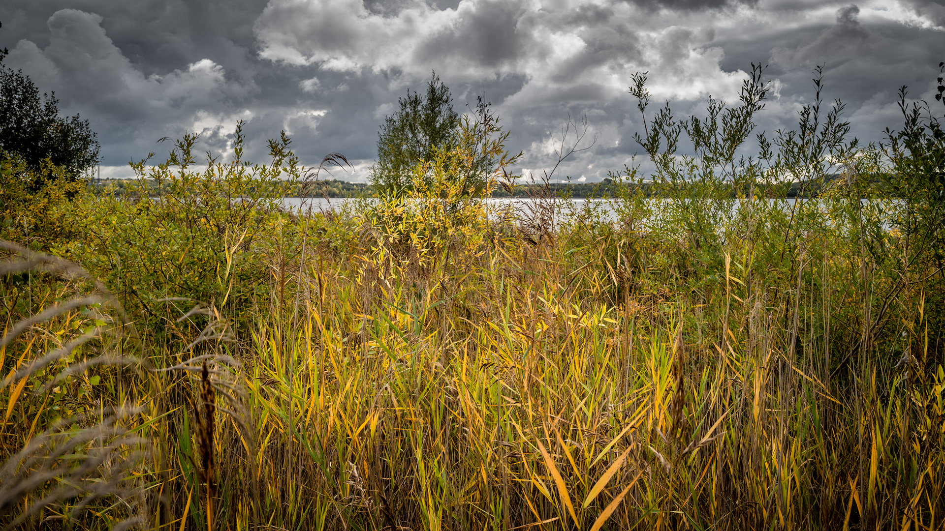 Blick auf den Großkaynaer See