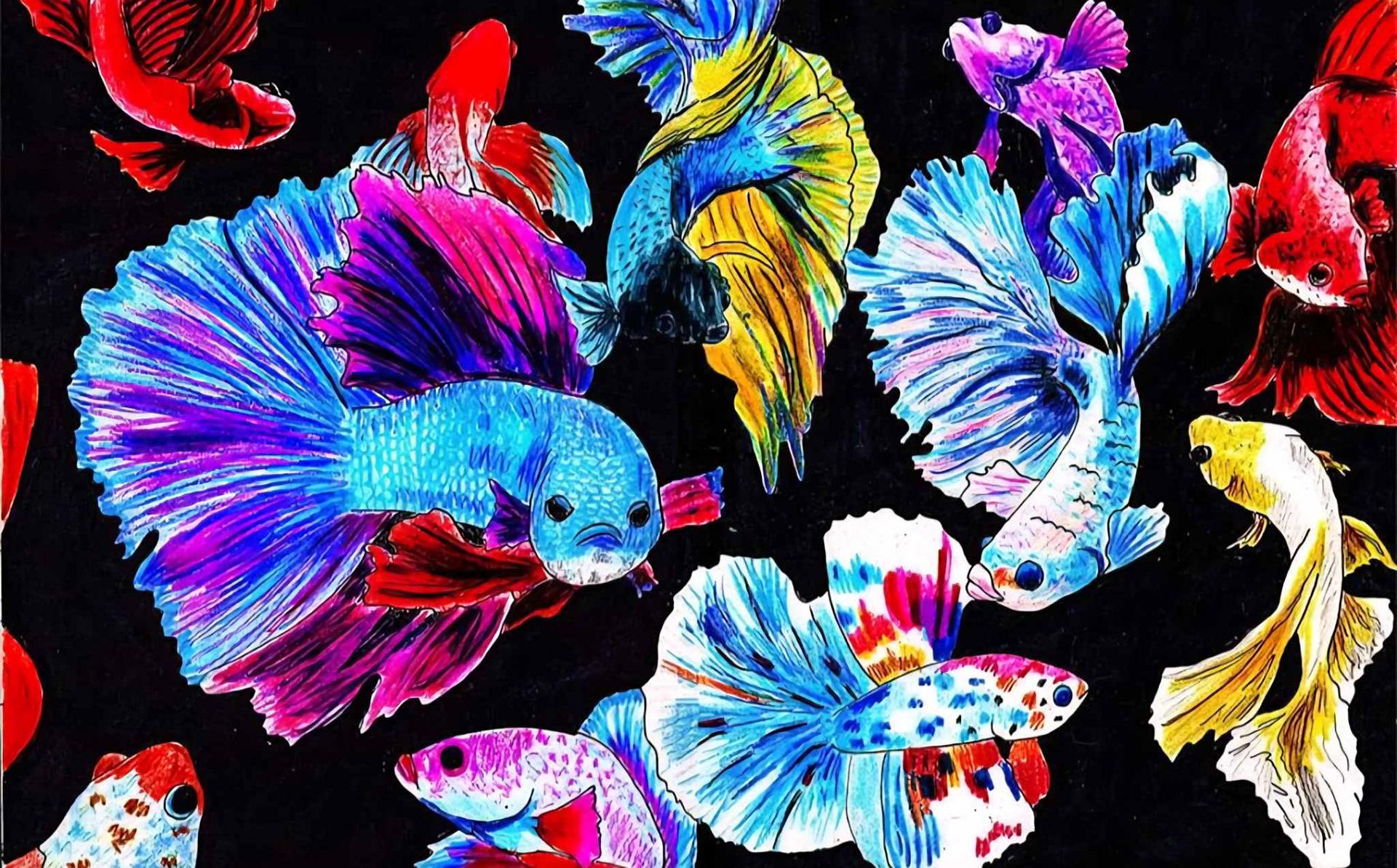 Sharpie and colored pencil on paper