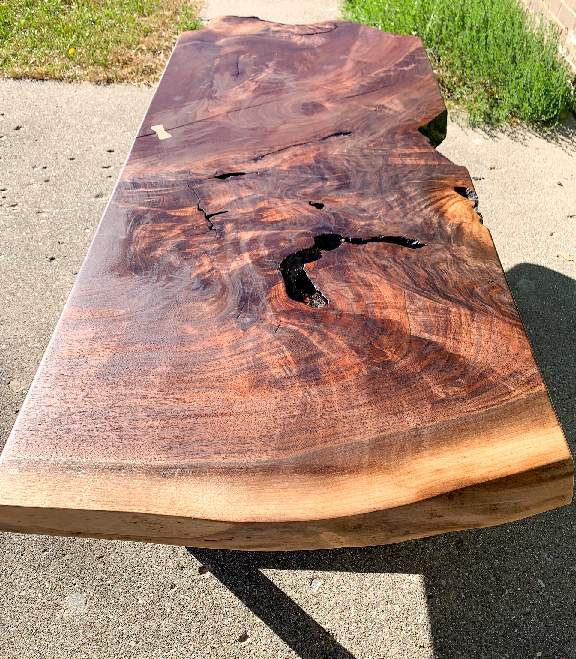 Live Edge Black Walnut Slab Coffee Table with Black Mat Legs and Maple Bowtie