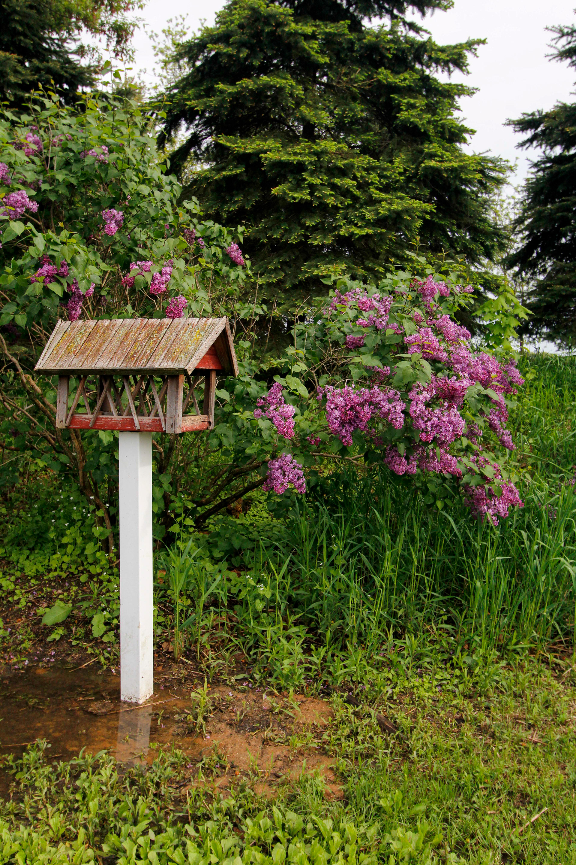 Real estate photography, nature and landscape photography