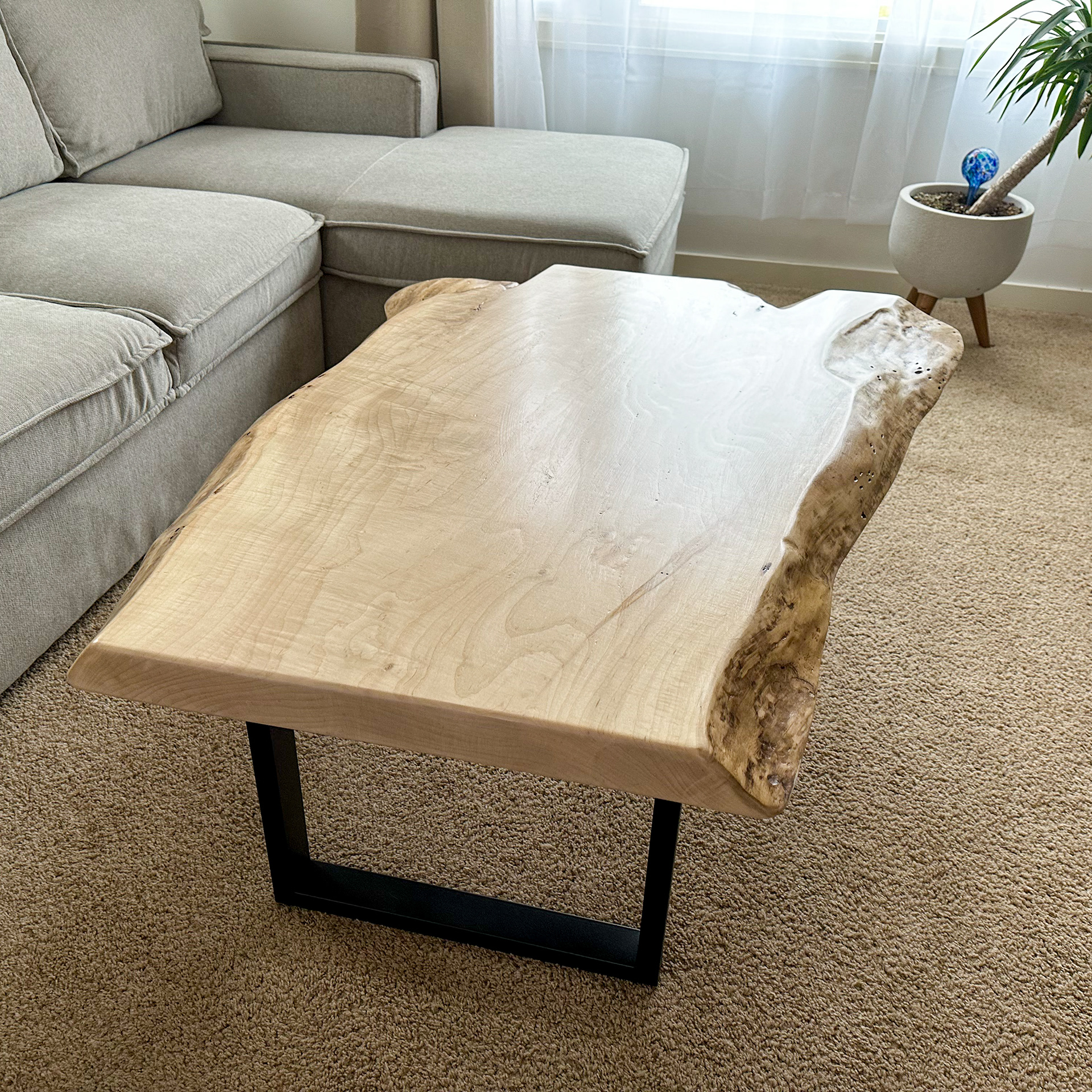 Live Edge Maple Slab Coffee Table with Black Mat Legs