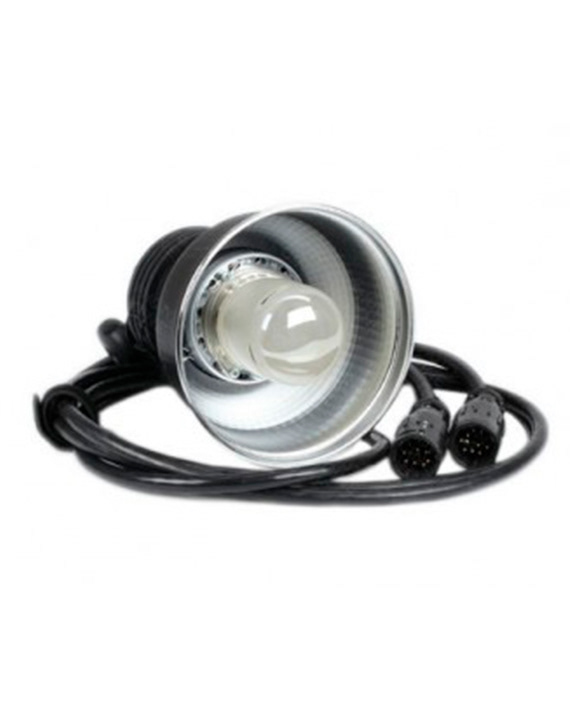 Profoto ProTwin. 50 €