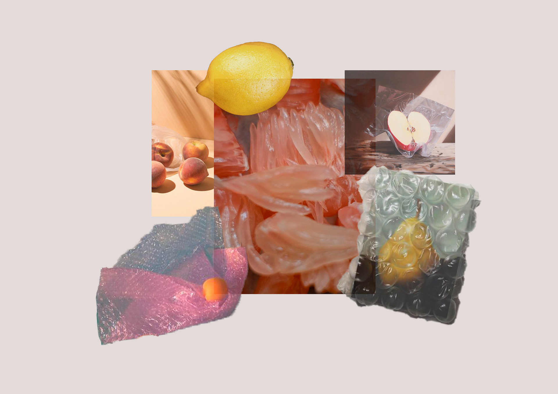 fruit x plastic 1