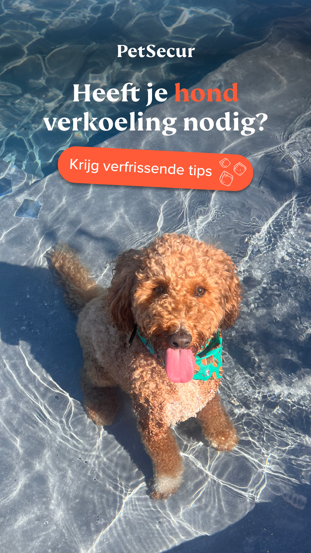 PetSecur - Zomer campagne