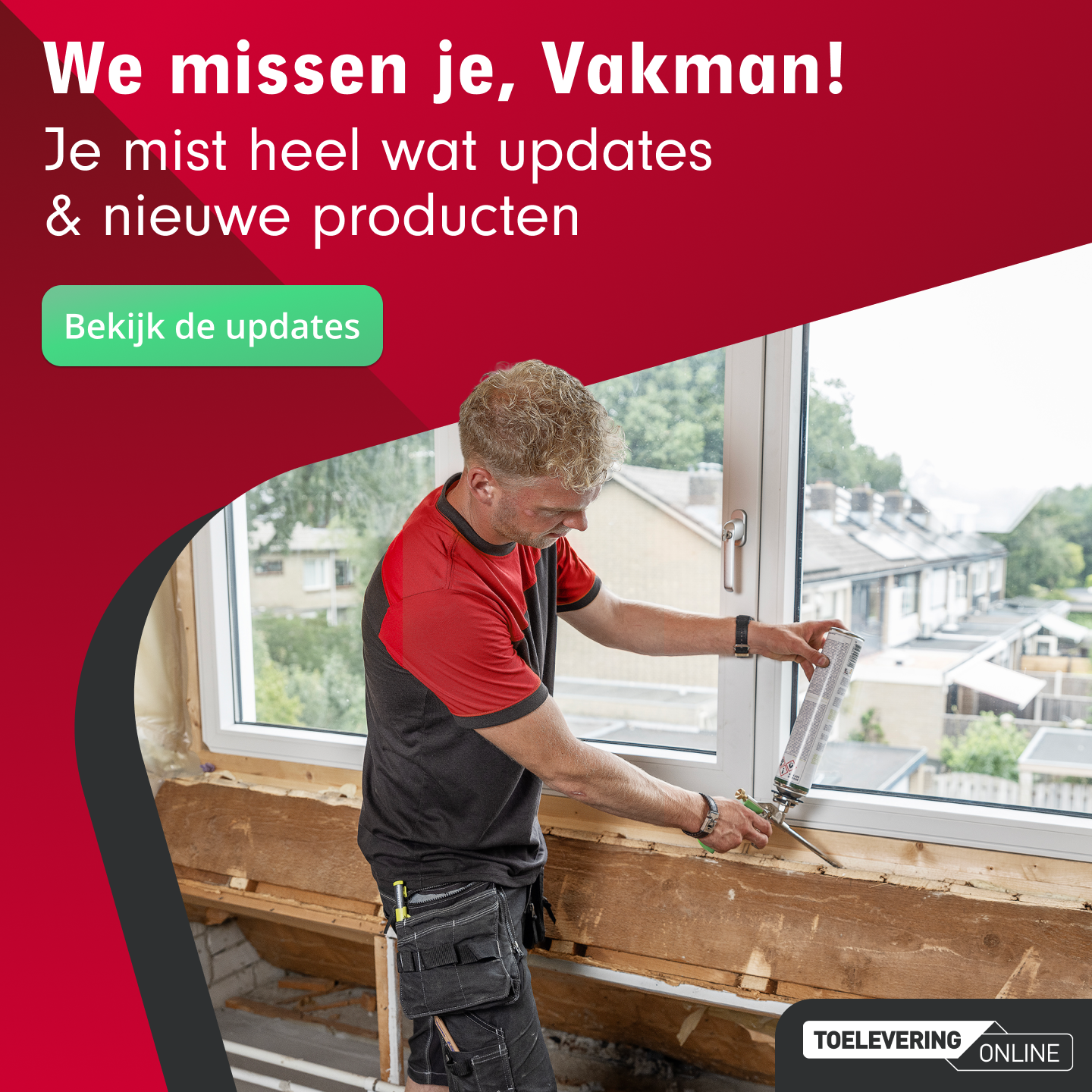 Toelevering Online - Campagne