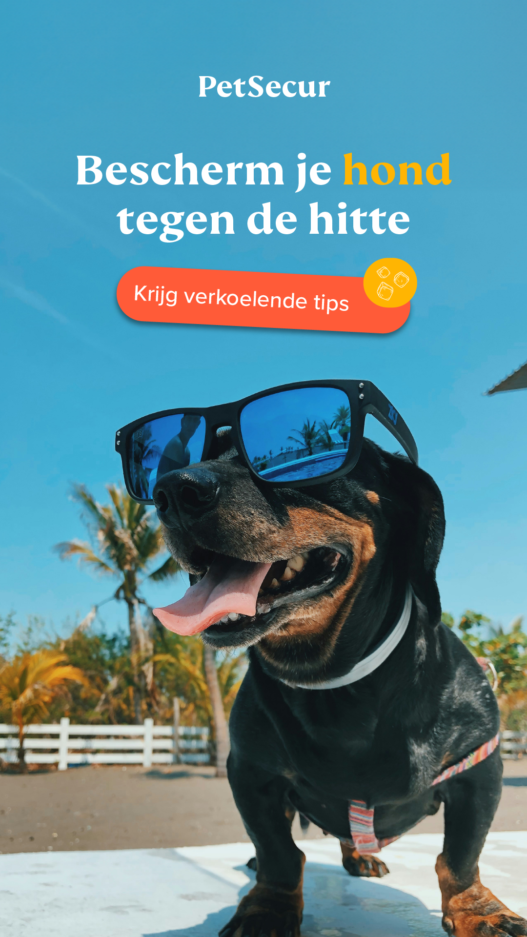 PetSecur - Zomer campagne