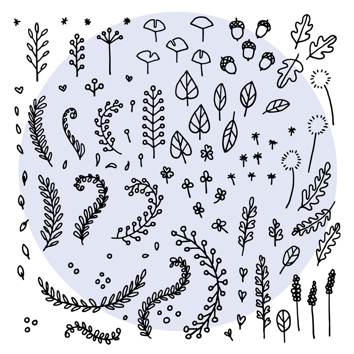 Adobe Photoshop & Illustrator