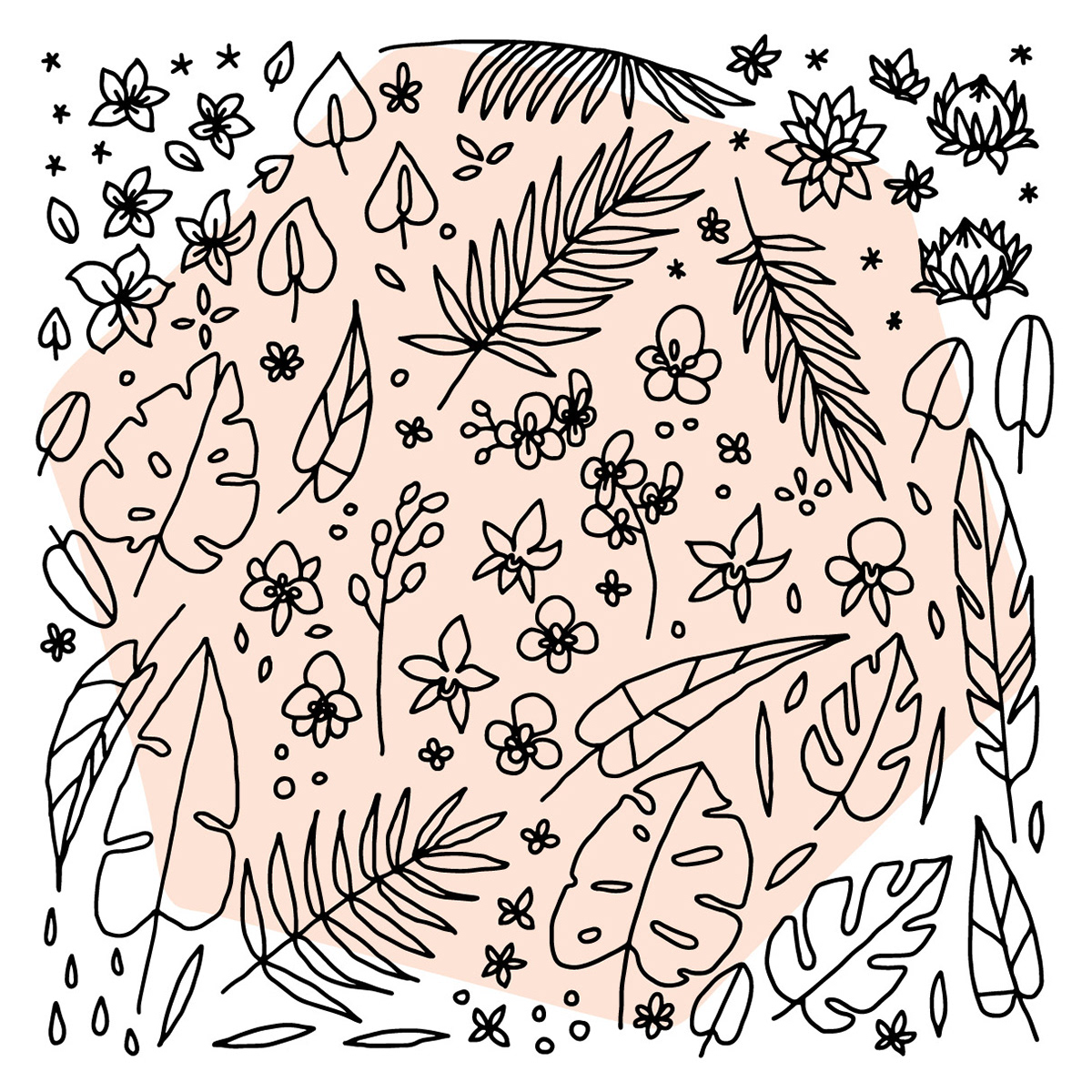 Adobe Photoshop & Illustrator