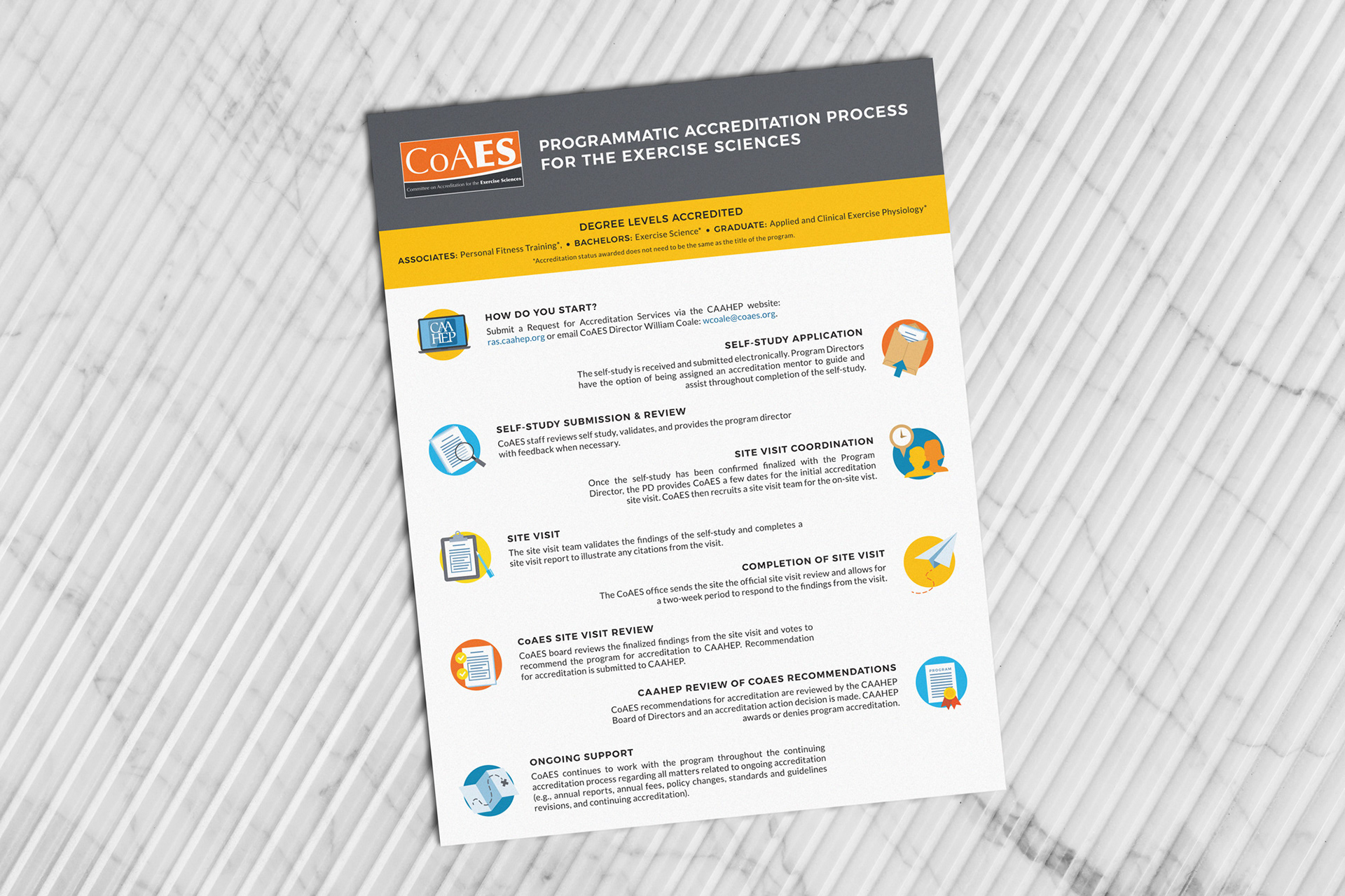 Full-page infographic