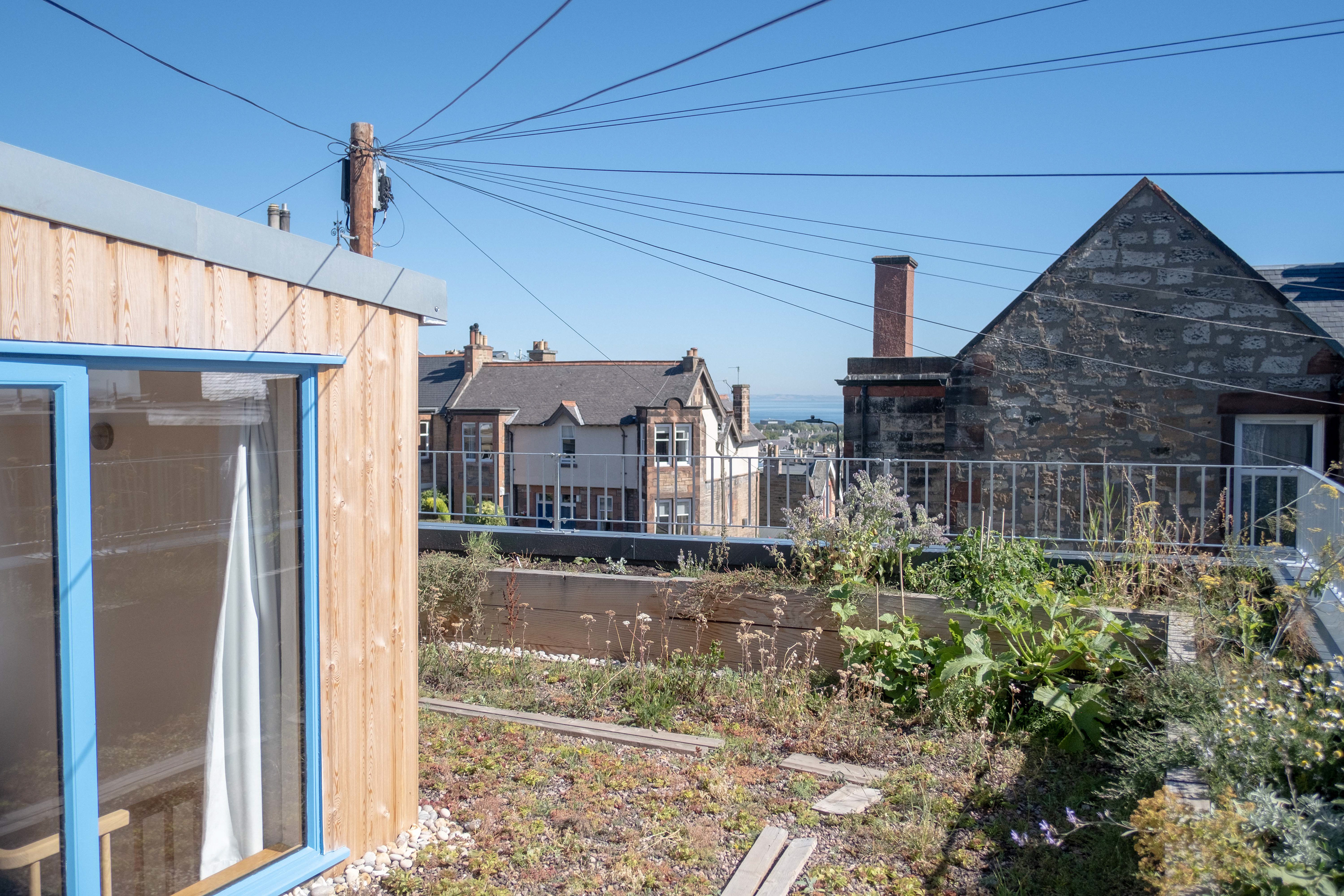 The Lighthouse Edinburgh garage conversion studio house domestic architecture retrofit award Croftworks Scotland roof terrace garden green roof biodiversity wildflower