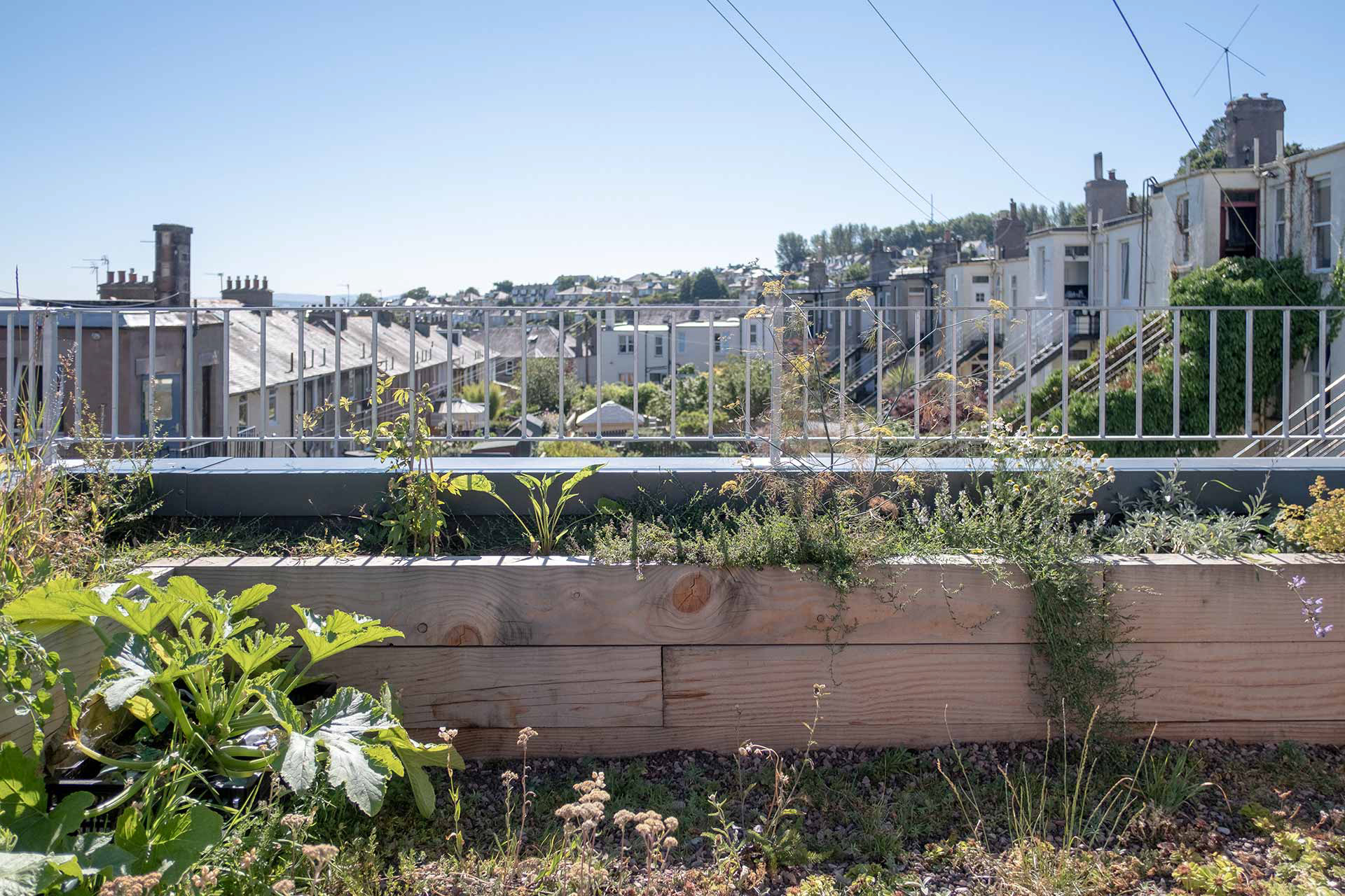 Croftworks architecture Scotland about ecological architecture Edinburgh team people collaborators The Lighthouse green roof
