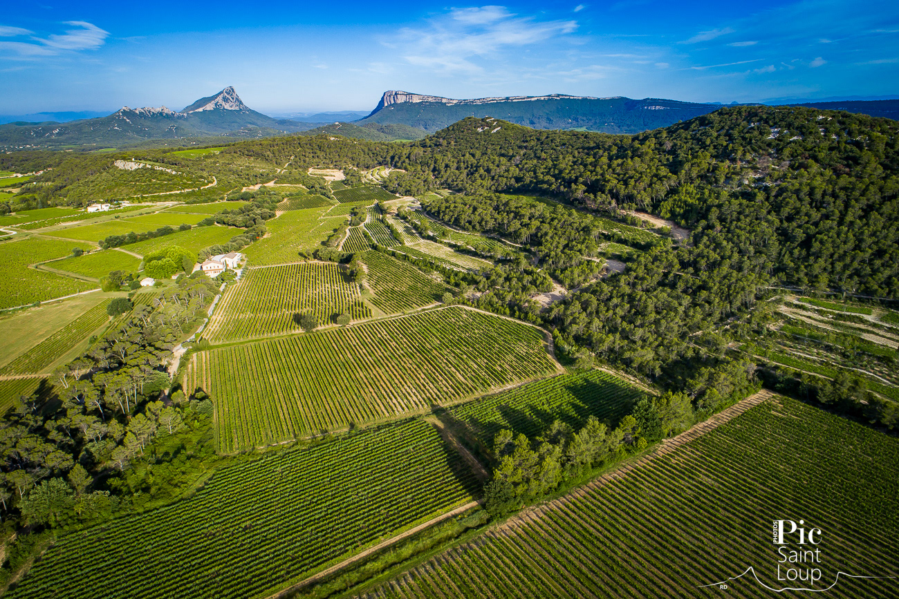 CHATEAU LA ROQUE