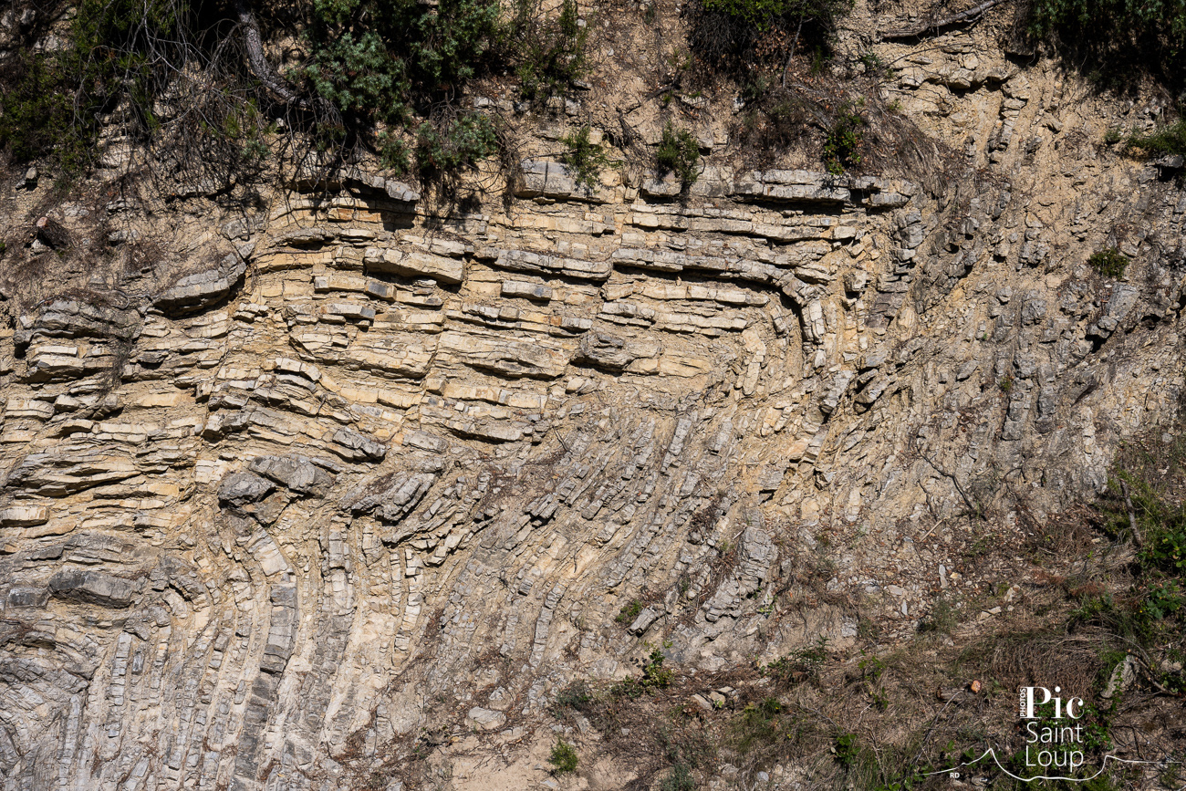 LE PETIT PIC SAINT-LOUP : PLI DEVERSÉ DU TERRIEU