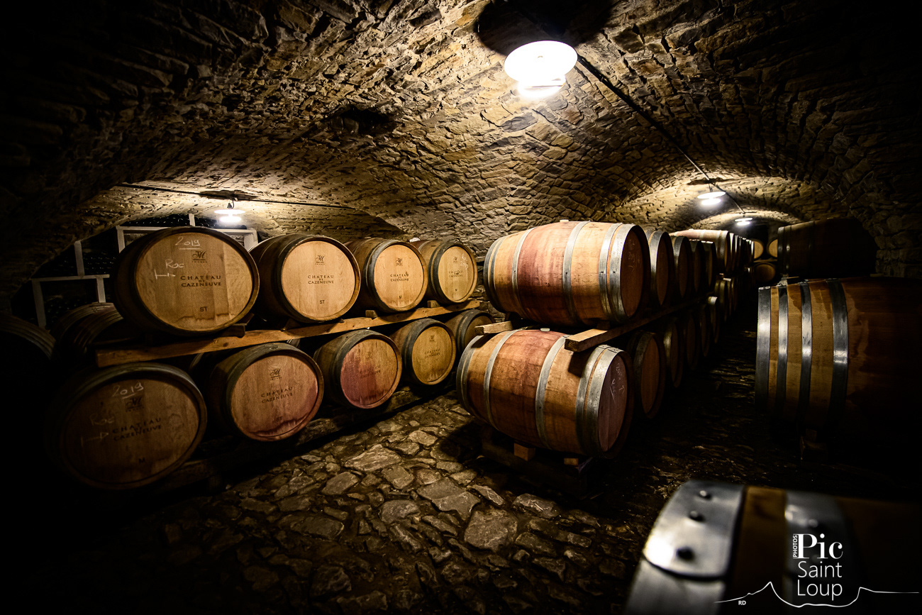 CHATEAU DE CAZENEUVE