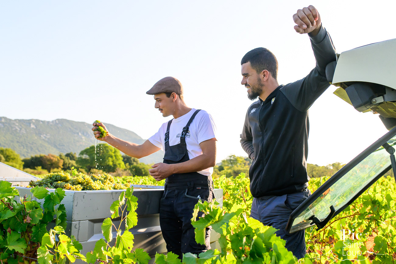 LE CLOS DES REBOUSSIERS