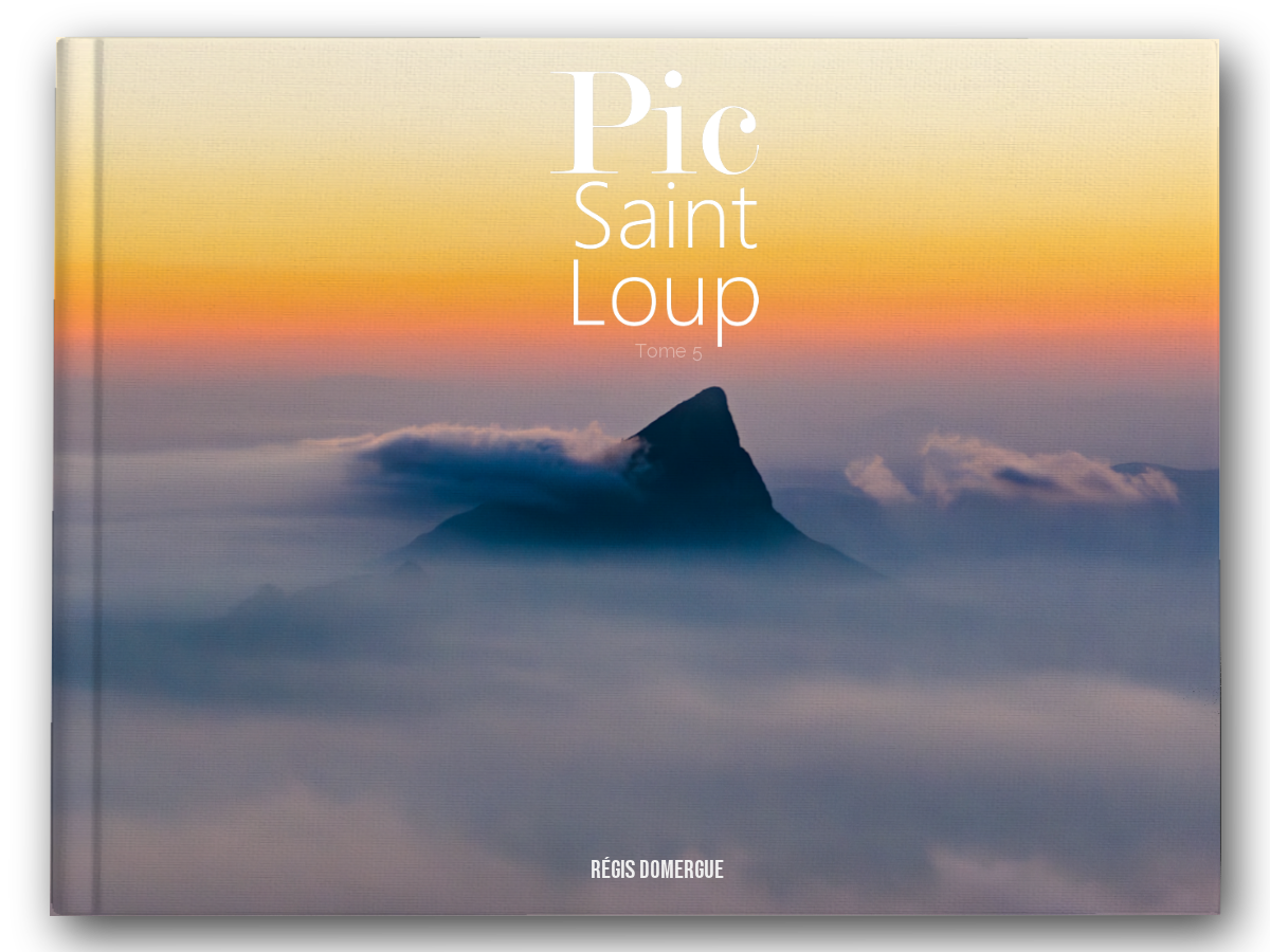 Disponible dans la boutique